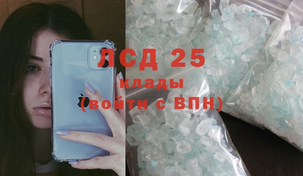 шишки Алексин