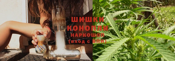 гидра Абаза