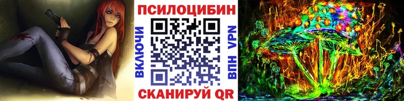 наркота  Туринск  Псилоцибиновые грибы ЛСД 
